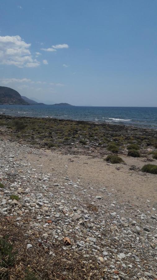 Παραθαλάσσιο Studio Agios Nikolaos  Luaran gambar
